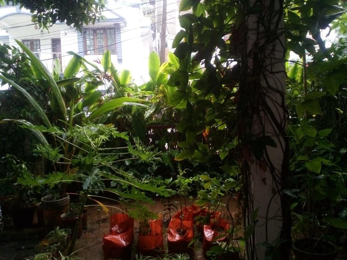 Kochi Nathans Holiday Home מראה חיצוני תמונה